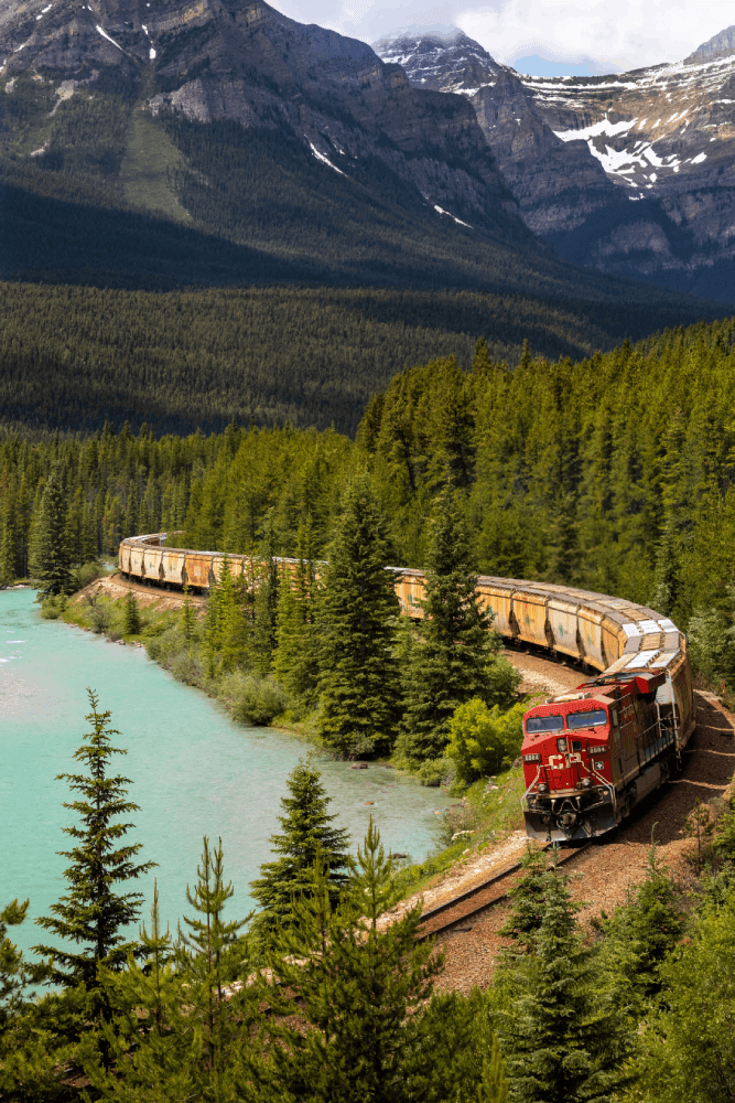 Cargo Train Moving Through Forest Next to Lake