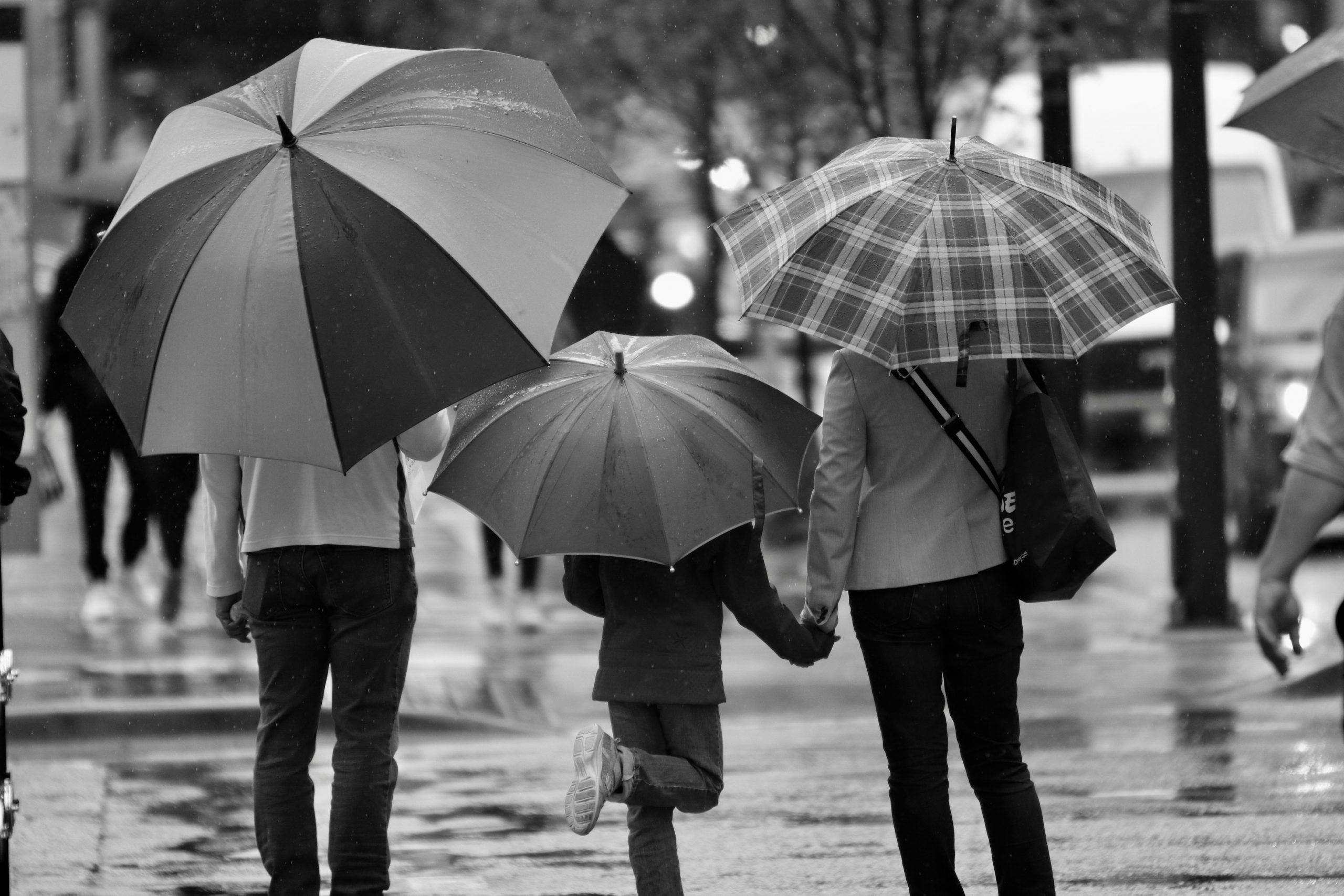 Family Walking With Umbrellas