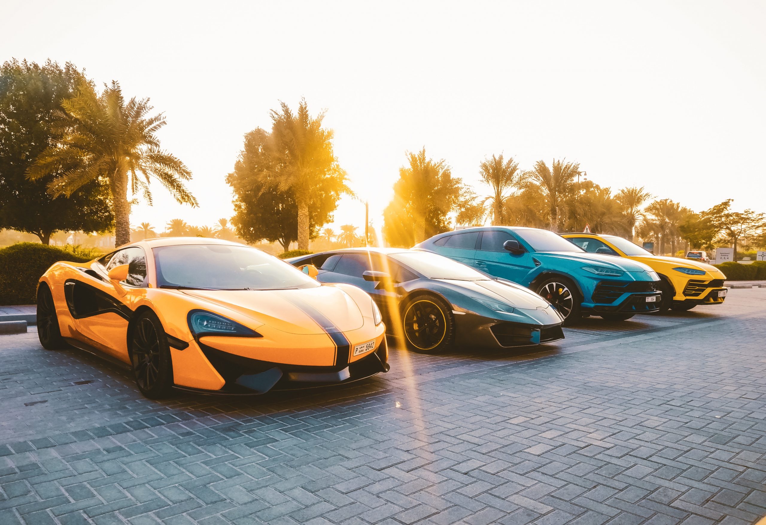 Row of Exotic Cars