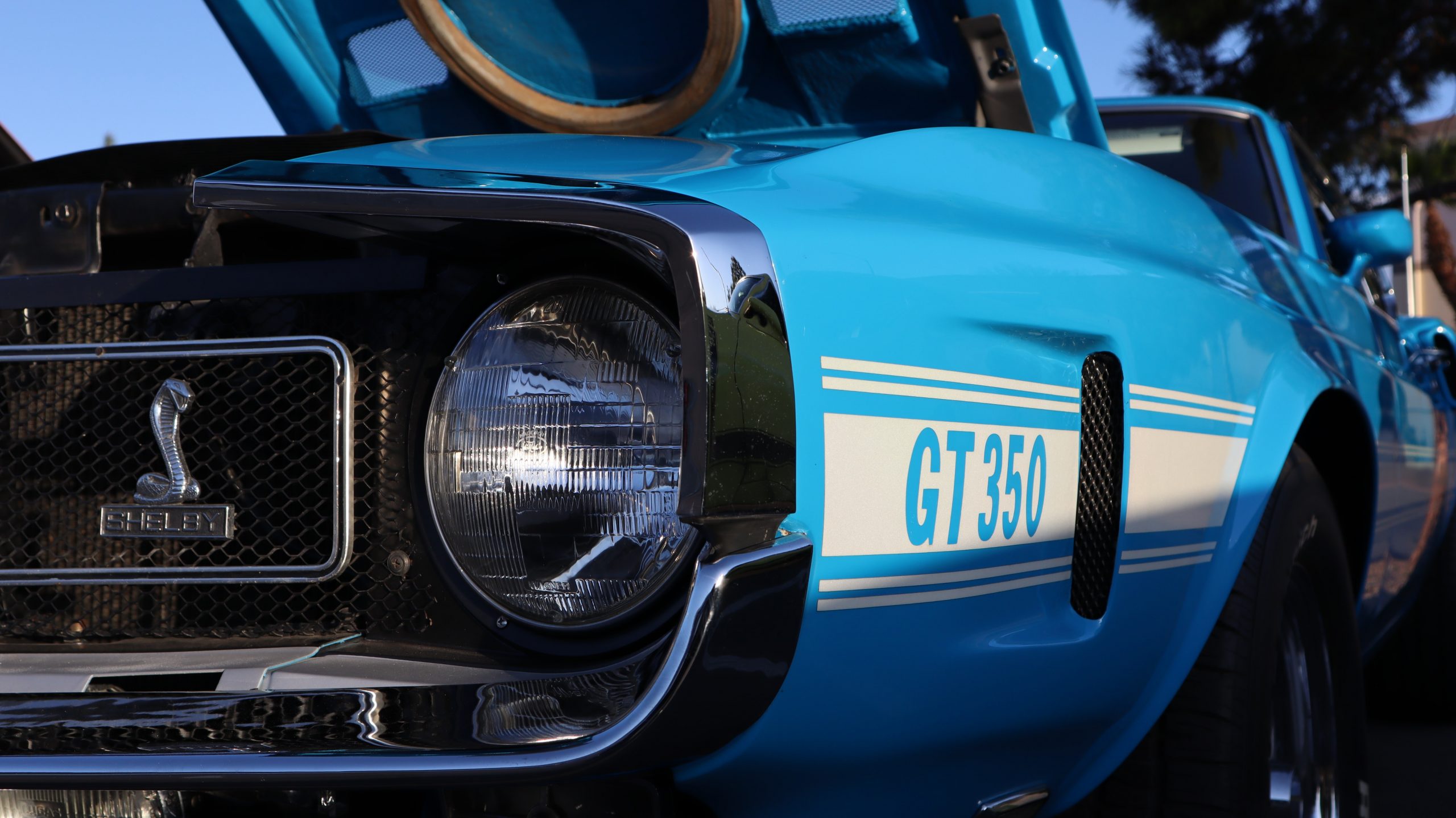 Close Up Shot of A 1960s Blue Shelby GT350