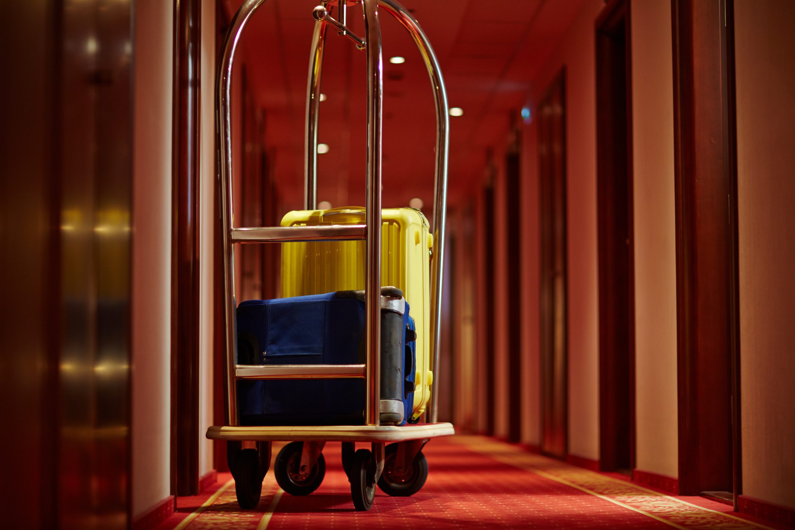 Luggage With Suitcases in Middle of Red Carpeted Hospitality Hotel