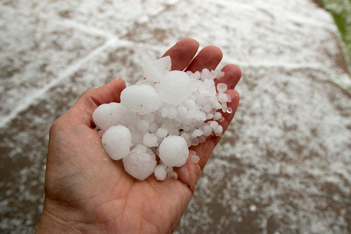 Hand Holding Hail Hand Holding Hail