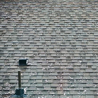 Roof shingles with large hailstones after hail storm