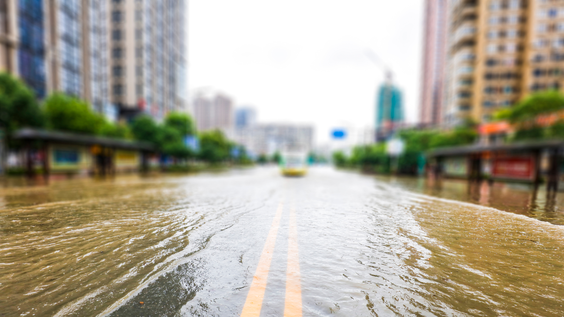 Road Flooded with Double Yellow Stripe Down the Center of Image Road Flooded with Double Yellow Stripe Down the Center of Image