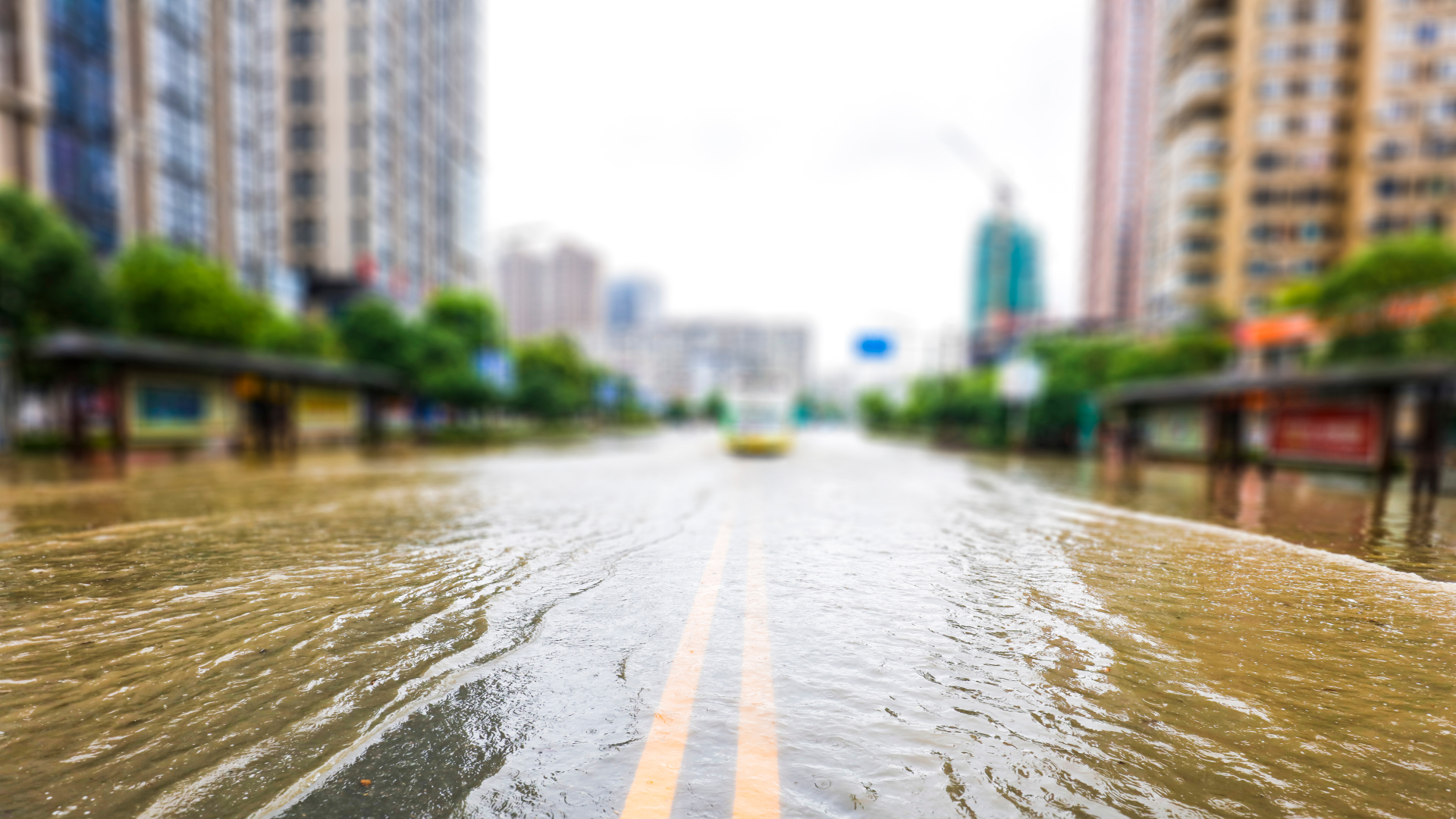 Road Flooded with Double Yellow Stripe Down the Center of Image