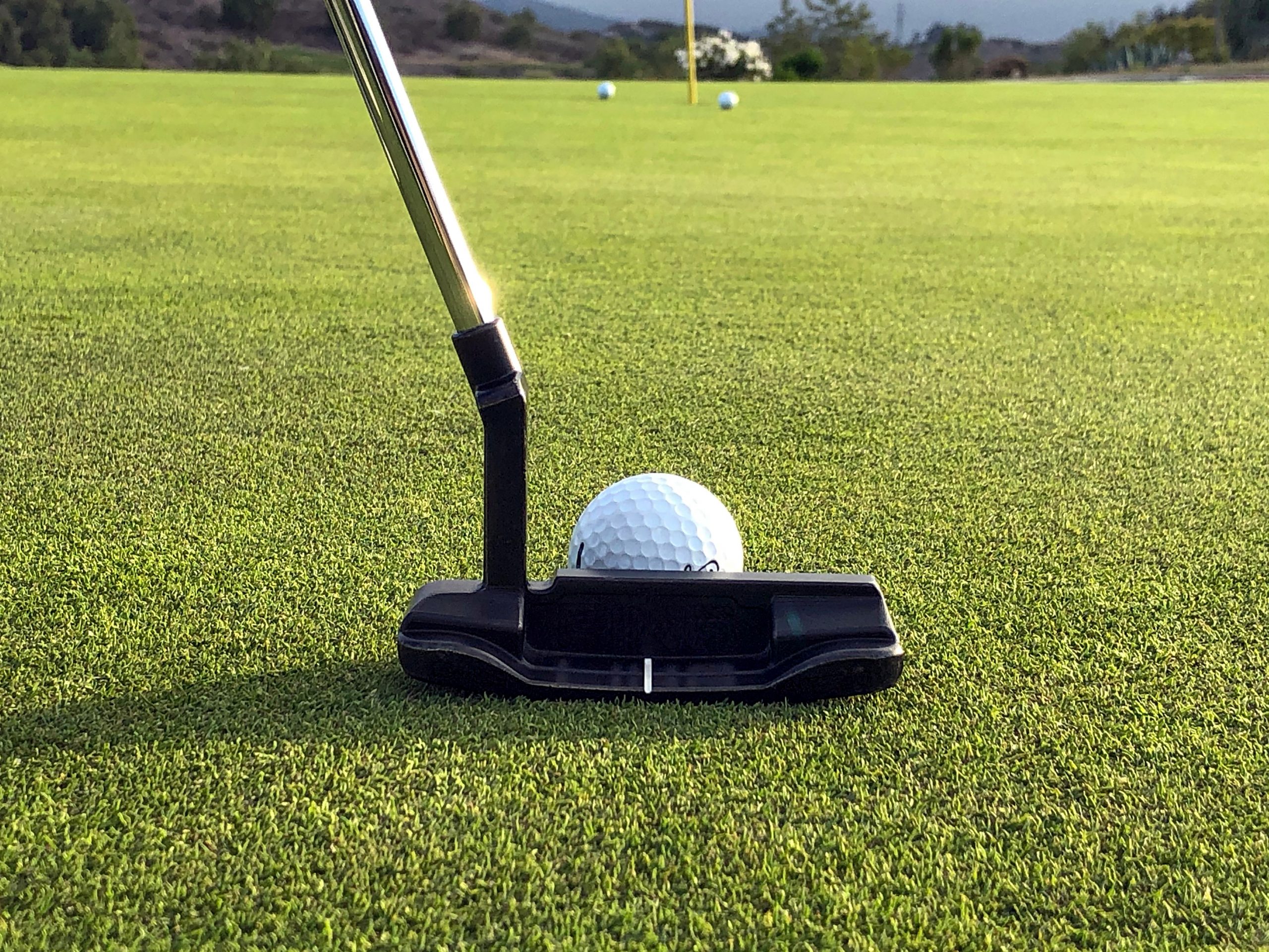 Golf Putter with Golf Pin In Background