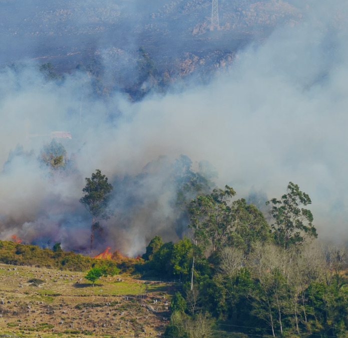 Protect Your Home & Business from Risk this Fire Season