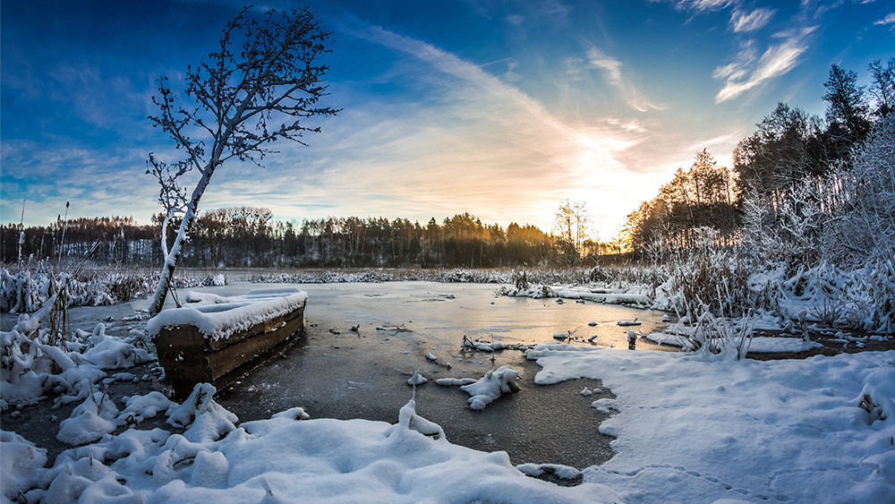 Weather Trends & Property Insurance