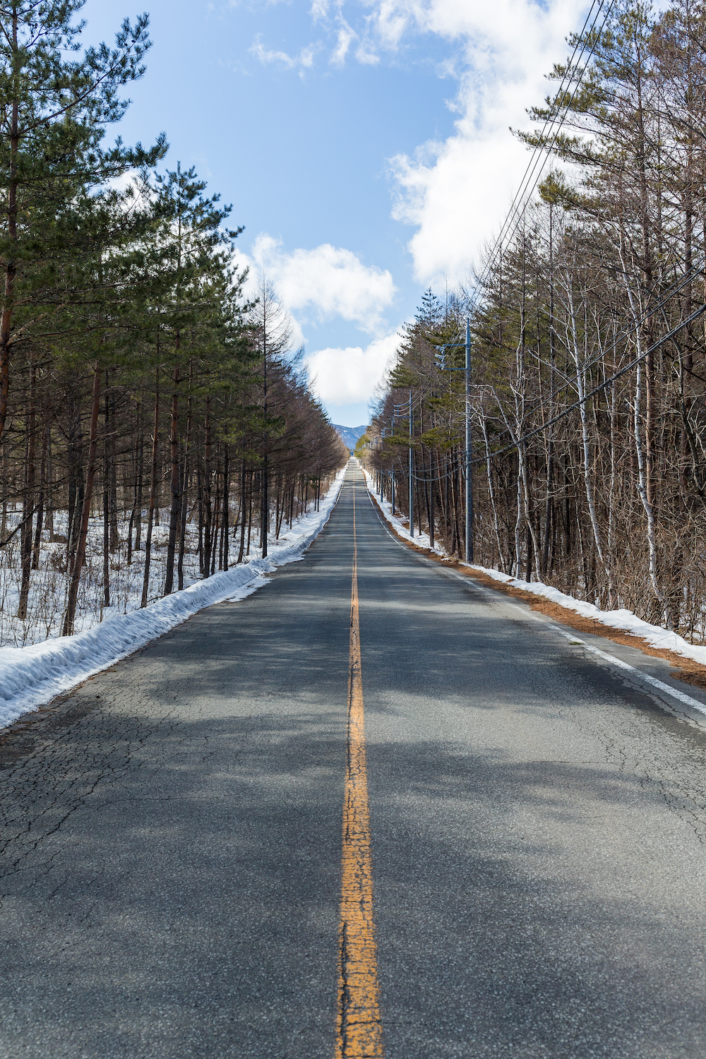 Winter forest Tower Street Insurance Loss Control OSHA Safe and Sound Week